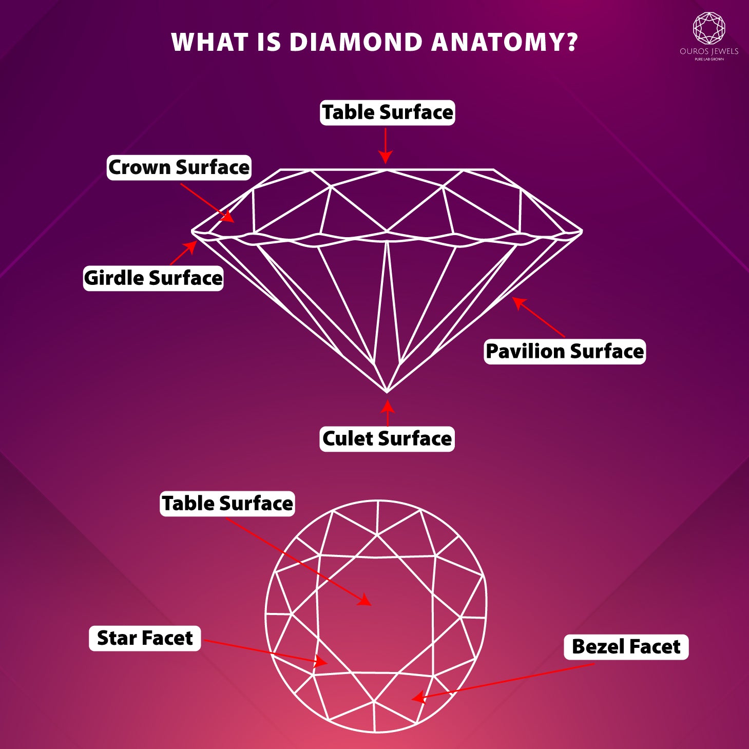 Diamond Anatomy Definition and Guide