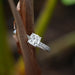 [ a solitaire engagement ring with a cushion diamond on tail of a grass]-[Ouros Jewels]