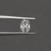[Ouros Dahlia Cut Loose Diamond in a Tweezer]-[Ouros Jewels]