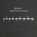 Certified Marquise Cut Lab Grown Diamond GIA Certified Diamond Loose