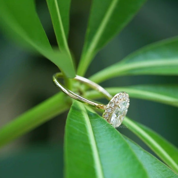 [a halo engagement ring on top of a leaf]-[Ouros Jewels]