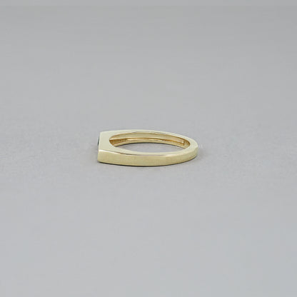 Black Round Diamond Flush Set Signet Ring