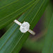 [Oval Diamond Solitaire Engagement Ring on the tail of a grass]-[Ouros Jewels]