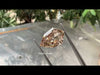 [Youtube Video of Pear Lab Grown Diamond]-[Ouros Jewels]