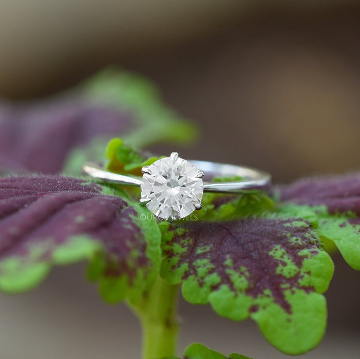 [ A Diamond Round Ring on top of a leaf]-[Ouros Jewels]