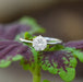 [ A Diamond Round Ring on top of a leaf]-[Ouros Jewels]