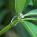 [A Round-Cut Diamond Ring on top of a leaf]-[Ouros Jewels]