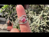 [YouTube Video Of Pink Hear Lab Diamond Halo Engagement Ring]-[Ouros Jewels]